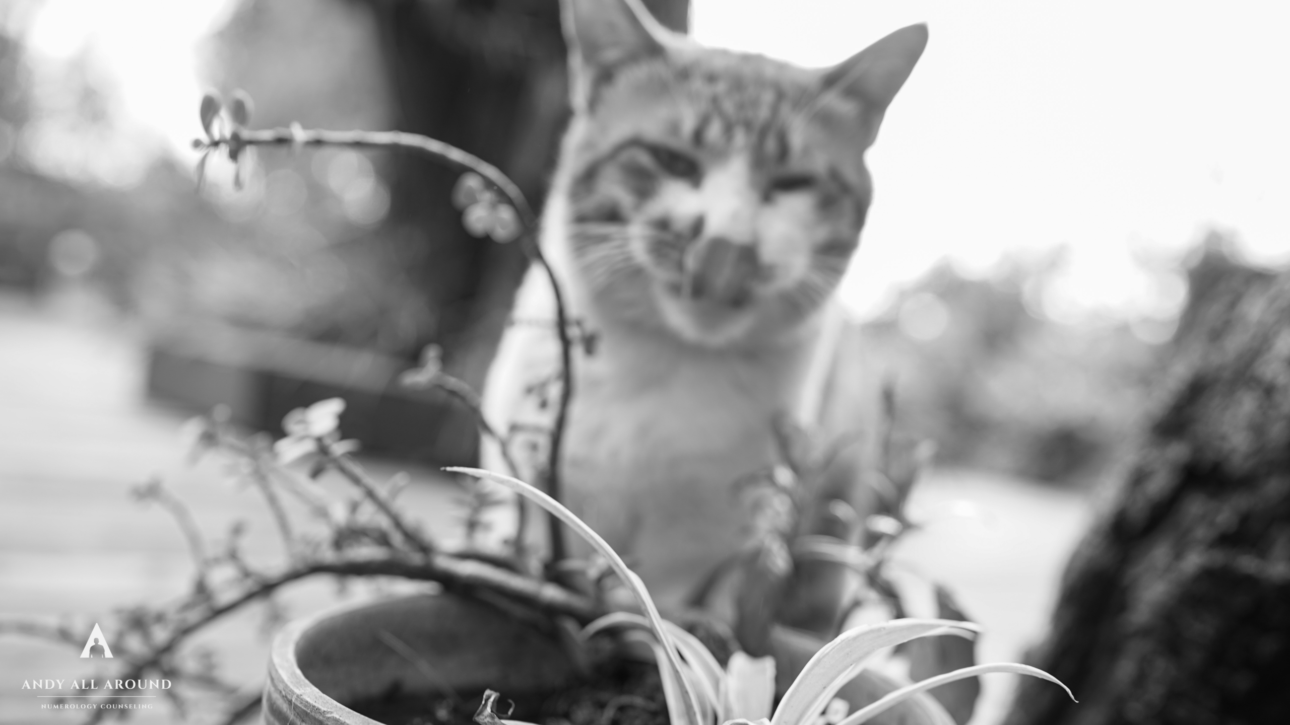 03 屯卦第三 〈水雷屯〉